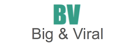 Big & Viral News logo