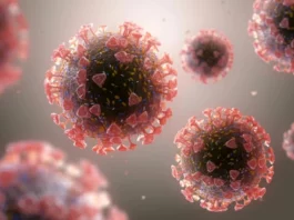 Corona Virus