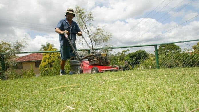 Harris County Tops in Gas-Powered Lawn Equipment Pollution