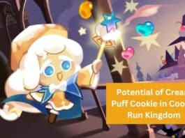 Mastering Cream Puff Cookie