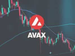 AVAX Price Plunge