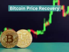 Bitcoin Price Recovery