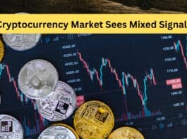 Cryptocurrency Market Sees Mixed Signals