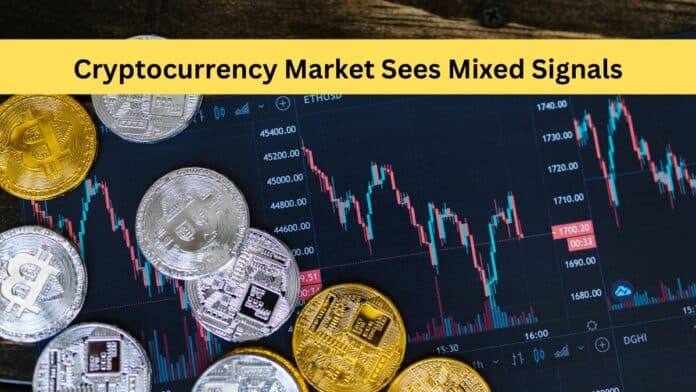 Cryptocurrency Market Sees Mixed Signals