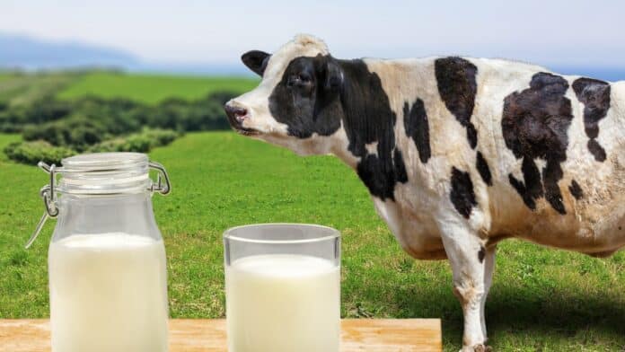 Raw Milk Safety Concerns Rise