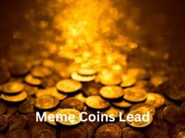 Meme Coins Lead Tepid Crypto Market Recovery