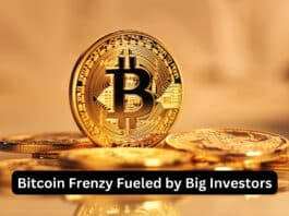 Bitcoin Frenzy Fueled by Big Investors